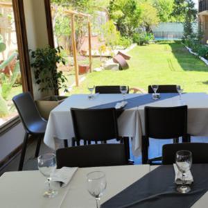 Terral Hotel & Spa Vicuna Exterior photo